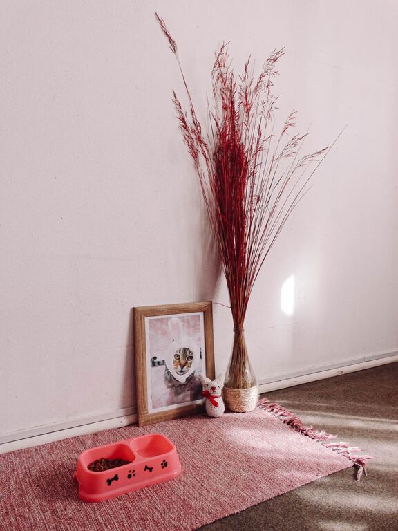 How to Create a Cozy Pet-Friendly Corner in Your Home